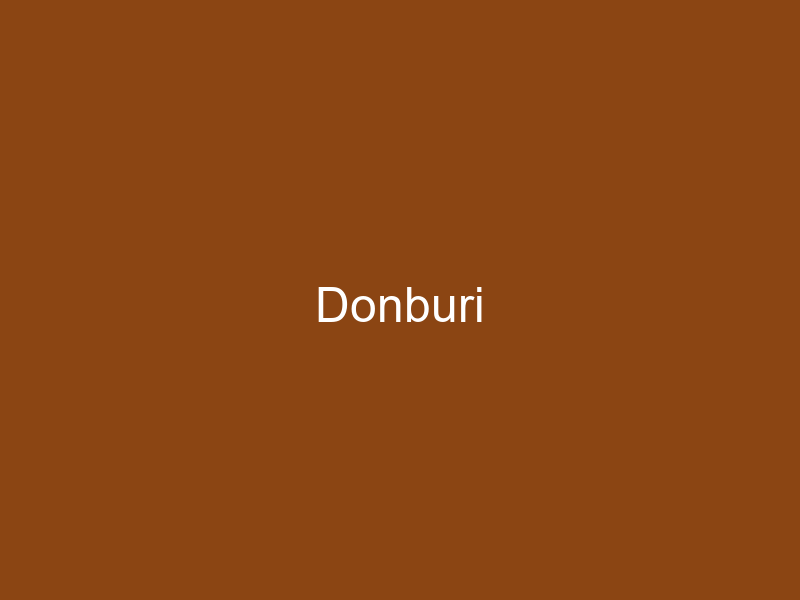 Donburi